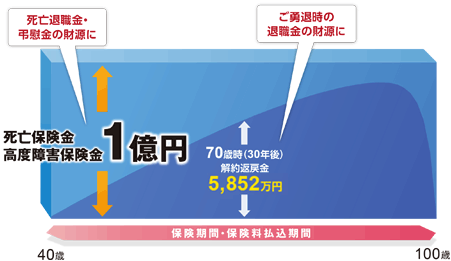 ������������ی��̐}