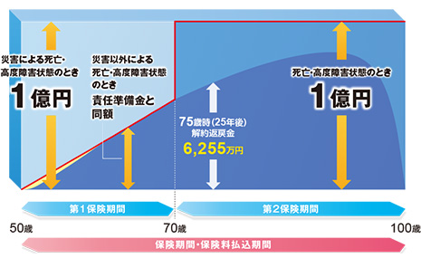 �ی����ԁE�ی����������Ԃ̐}