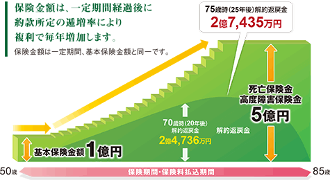 ��������ی��̐}